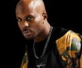  DMX      