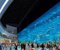 Dubai Mall        