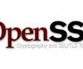        OpenSSL