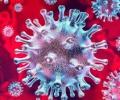 Coronavirus:      COVIDSafe