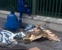 В ДТП в Москве погибло пятеро детей-инвалидов