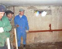 Кошмар в Приамурье: женщина нашла в подвале у сожителя пять трупов