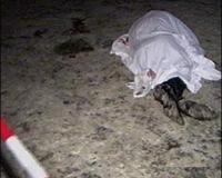 В Подмосковье обнаружено тело 14-летней школьницы, пропавшей 9 февраля