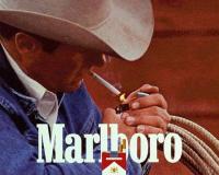     -   Marlboro